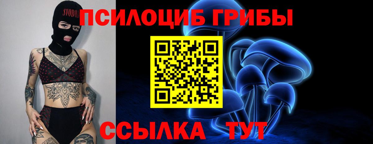 Карталы  Псилоцибиновые грибы мухоморы  Вход с VPN  Псилоцибиновые грибы Cubensis 